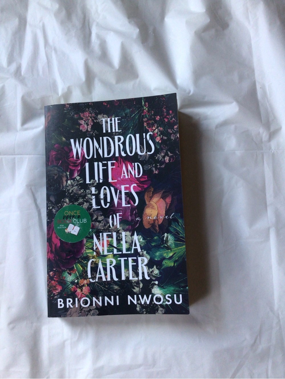 The Wondrous Life and Loves of Nella Carter - Book